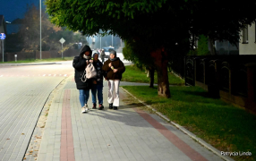 Zdjęcie 39