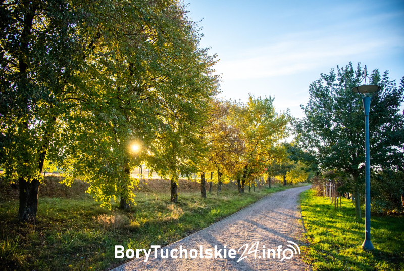 Park Borowiacki w Czersku